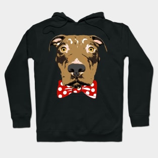 American Bully Dog Hoodie